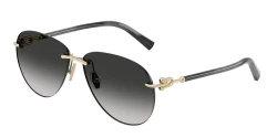 SunGlasses | TIFFANY טיפאני | TF 3124 6241/3C 59-13-140