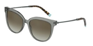  | TIFFANY טיפאני | TF 4176 8338/3M 55-17-140