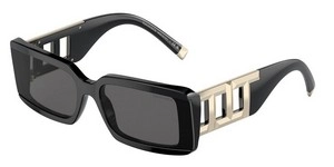 משקפי שמש | TIFFANY טיפאני | TF 4197 8001/S4 62-17-140