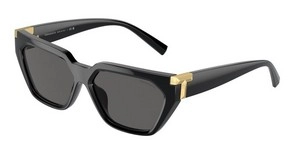 משקפי שמש | TIFFANY טיפאני | TF 4205-U 8001/S4 56-14-140