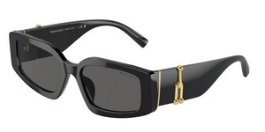 משקפי שמש | TIFFANY טיפאני | TF 4208-U 8001/S4 54-17-140