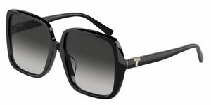  | TIFFANY טיפאני | TF 4211-D 8001/3C 58-17-145