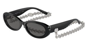 משקפי שמש | TIFFANY טיפאני | TF 4221 8001/S4 54-17-140