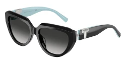 SunGlasses | TIFFANY טיפאני | TF 4238-U 8465/3C 55-17-140