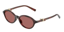 SunGlasses | TIFFANY טיפאני | TF 4266-U 8472/69 51-18-140