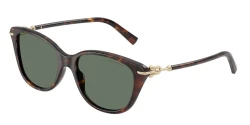SunGlasses | TIFFANY טיפאני | TF 4267 8015/3H 54-17-140