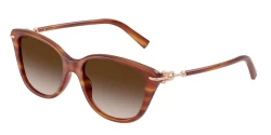 SunGlasses | TIFFANY טיפאני | TF 4267 8469/3B 54-17-140