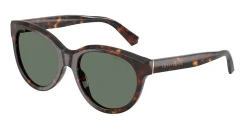 SunGlasses | TIFFANY טיפאני | TF 4271 8015/3H 55-19-140