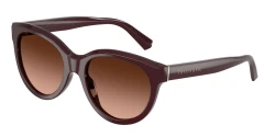SunGlasses | TIFFANY טיפאני | TF 4271 8470/5M 55-19-140