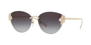  | VERSACE וורסצ'ה | 2196B 1252/8G 58-15-140