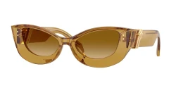 SunGlasses | VERSACE וורסצ'ה | 4520U 5347/2L 52-18-140