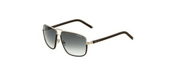 משקפי שמש | JIMMY CHOO ג'ימי צ'ו | CARRY FHN