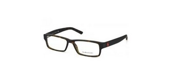  | Polo Ralph Lauren פולו ראלף לורן | PH 2119 5003 55-16-145