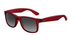  | Ray-Ban רייבן | RB 4165 600/3G 51-16-145